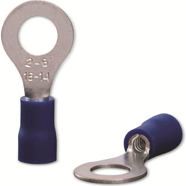 Quadrios 22C448 Capocorda Ad Anello Sezione (Max.)=2,5 Mm² Foro-Ø=6,5 Mm Parzialmente Isolato Blu 1 Set (22C448)-image