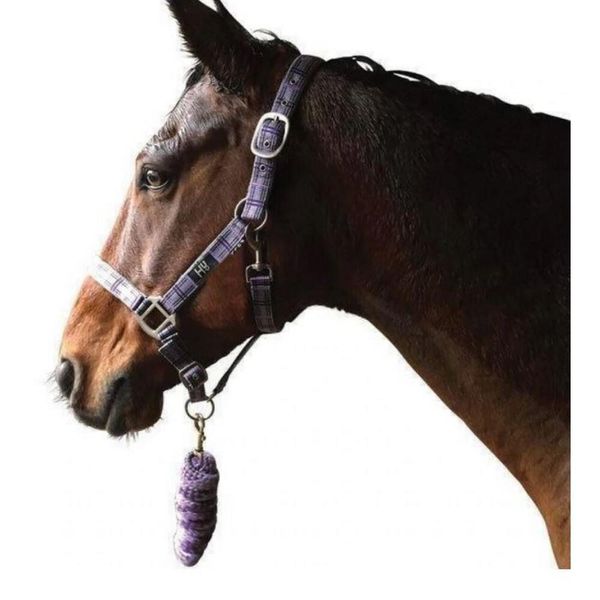 Cavezza Hy Tartan Con Corda Per Il Guinzaglio BZ484 (Pony) (Viola/Grigio/Viola)-image