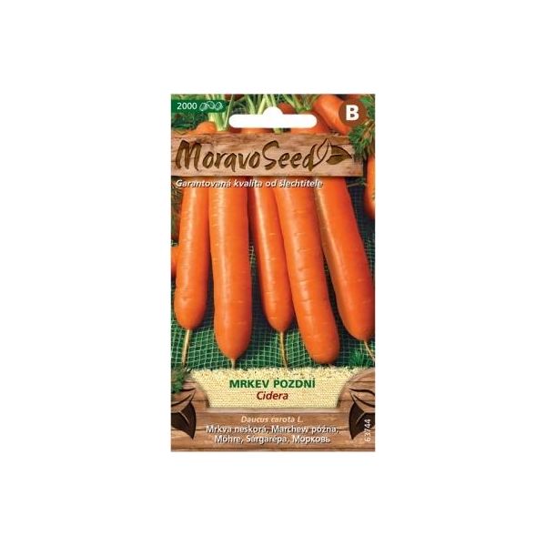 Carote Tardive Nohel Garden Cidera 63744-image