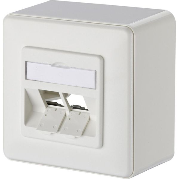 Metz Connect Scatola Di Giunzione Keystone Ap 2 Porte Non Equipaggiata Bianco Puro-image