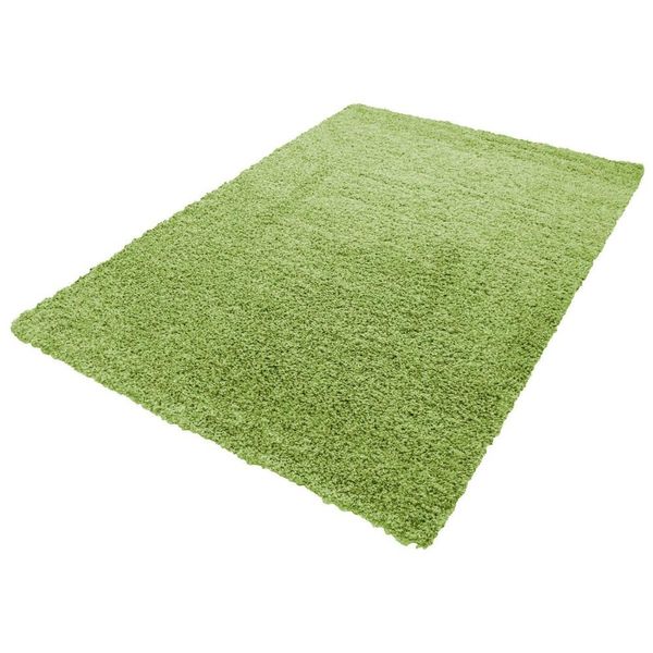 Tappeto Shaggy A Pelo Alto A Pelo Lungo Tappeto Da Salotto Runner Verde Uni Dimensioni - 120X170 Cm-image