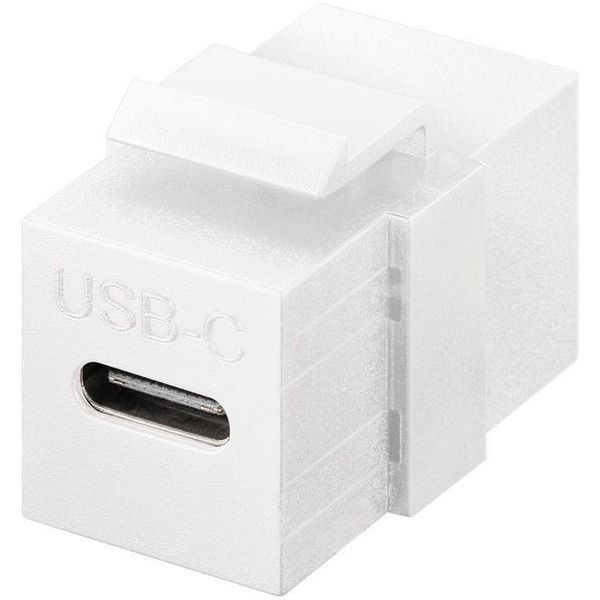 Goobay 61262 Modulo Keystone Connettore USB-C™, Usb 3.2 Gen 2 (10 Gbit/S), Bianco - Presa USB-C™ > Presa USB-C™-image