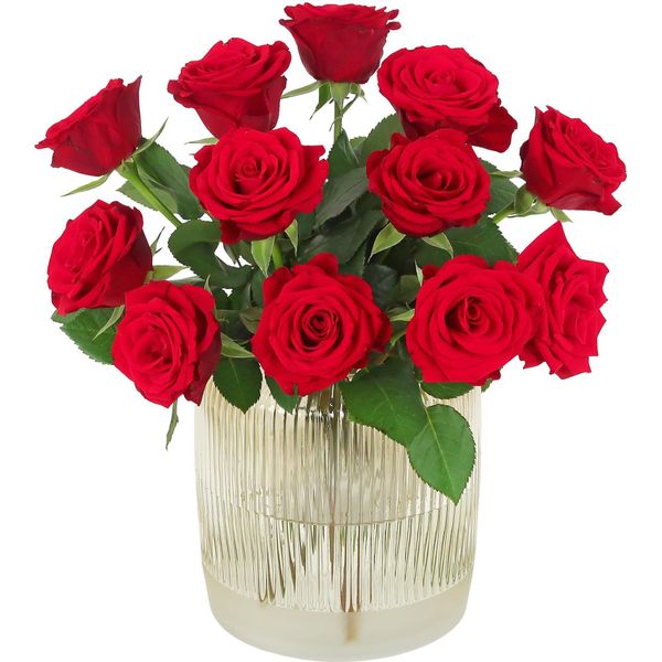 Rose - Roses - Red - Love Roses - Letterbox Bouquet - Love - Bouquet-image