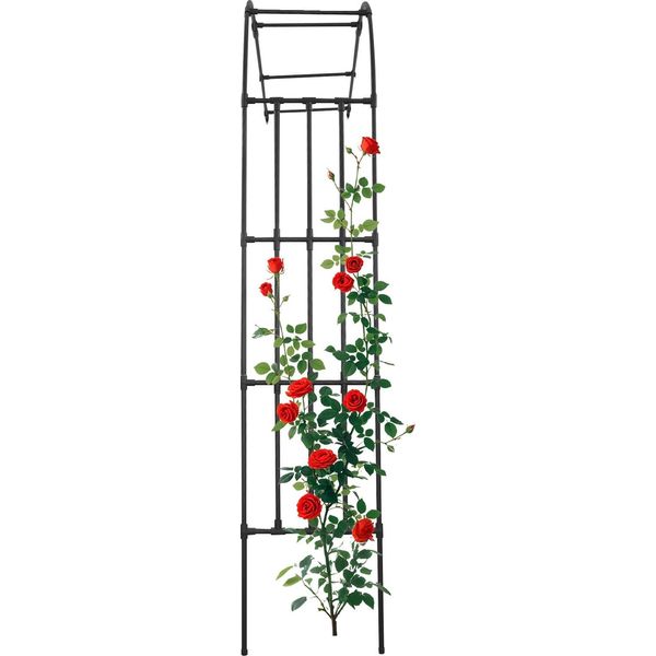 Traliccio Ad Arco Da Giardino, Design Resistente In Acciaio, Sostiene Le Piante Rampicanti, Nero-image