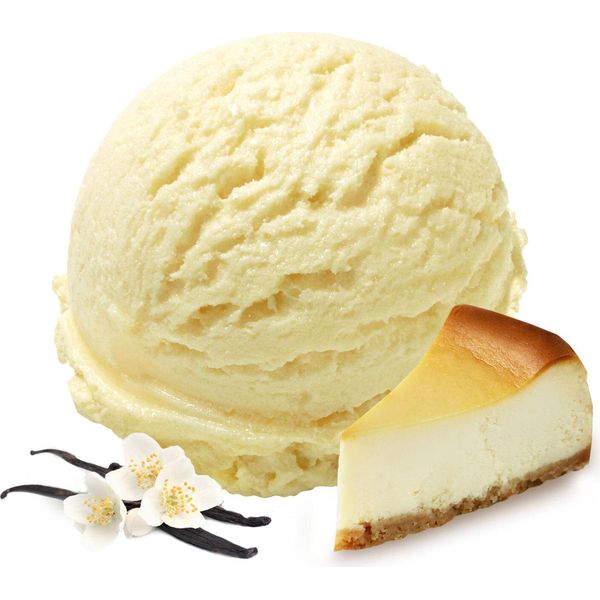 Gelato Vegano Alla Vaniglia In Polvere Senza Zucchero E Senza Lattosio 10 Kg-image