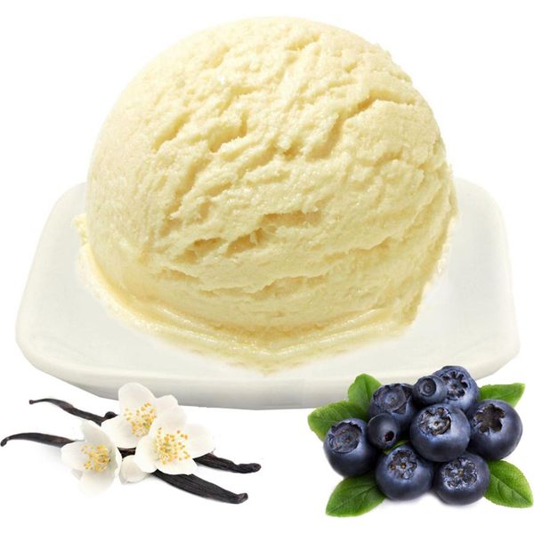 Gelato Alla Vaniglia E Mirtillo In Polvere Vegano Senza Zucchero E Senza Lattosio 100 Kg-image