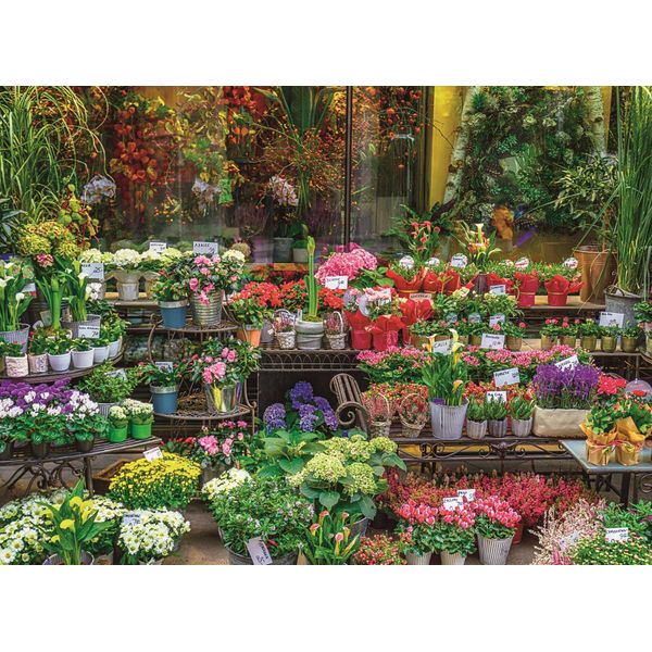Puzzle Ravensburger Costa Na Pali, Hawaii 500 Pezzi-image