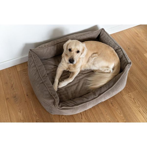 Letto Ortopedico Per Cani Di Taglia Grande, Divano Per Cani Lavabile E Sfoderabile, Cuscino Per Cani Xxl, Cesto Per Cani, Tappetino Per Cani 110 X 90 Cm-image