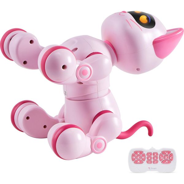 Succebuy Robot Giocattolo Gatto Telecomandato, Programmabile, Intelligente, Interattivo Per Bambini, Controllo Tattile, Cammina, Canta, Balla, Età 3-10 Anni-image