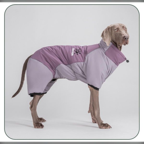 Inf Tuta Da Neve A Quattro Zampe Viola Per Cani Xl - Cappotto Invernale Caldo Impermeabile E Antivento Per Animali Domestici-image