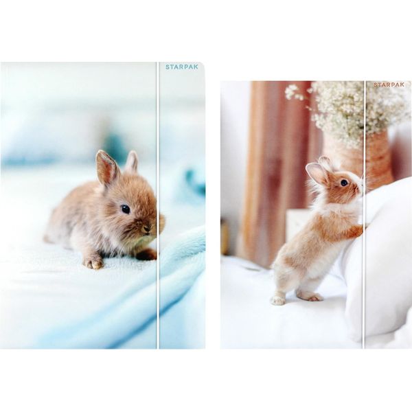 Cartella A4 Con Elastico Bunny Starpak 559727-image