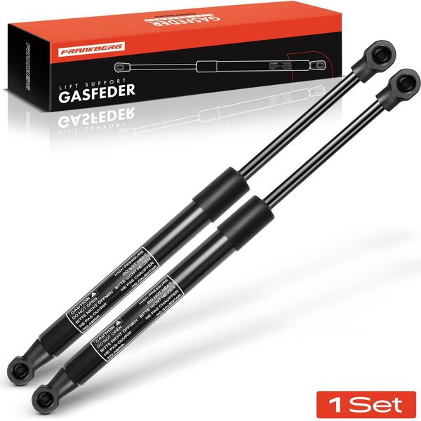 Frankberg 2X Ammortizzatore A Gas Per Lunotto Posteriore Per Renault ScéNic I FA0 JA0/1 Mpv 2000-2003-image