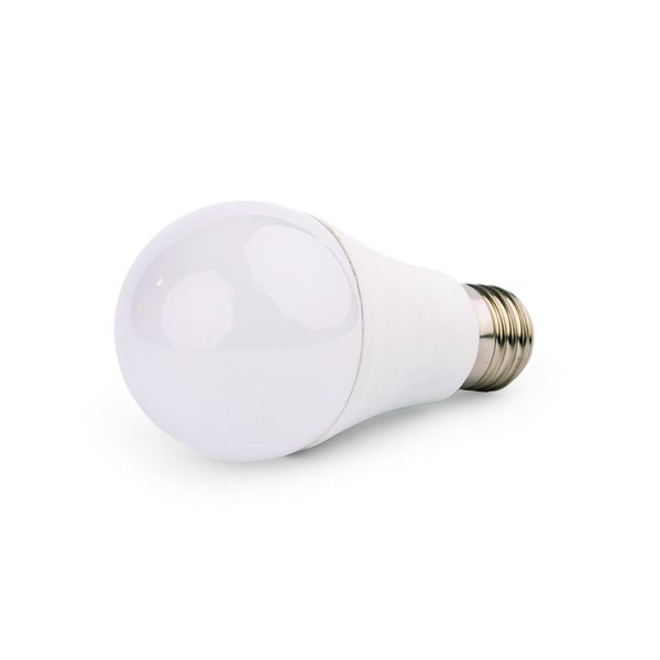 Lampadina Led Ecolight - E27 - 10W - 800Lm - Bianco Freddo-image