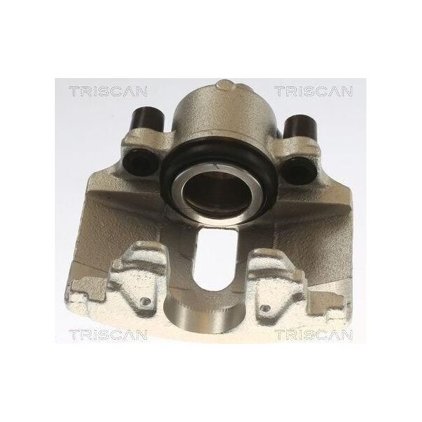 Pistone Freno Triscan Per Vw Golf V Hatchback (1K1) Ø54 Mm 8175 29102-image