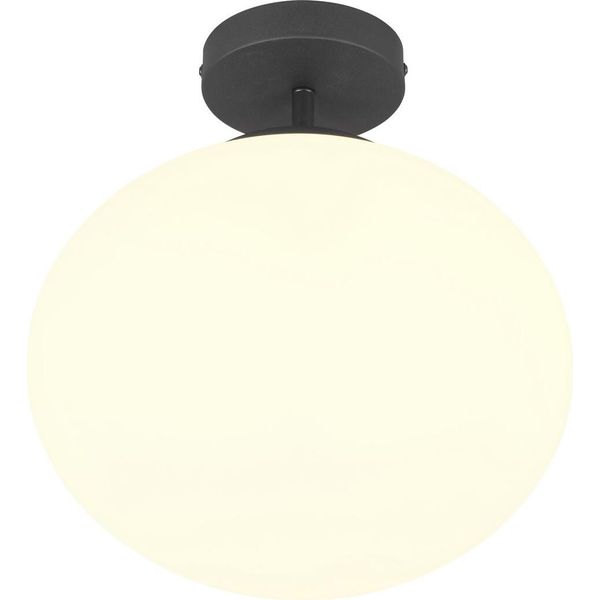 Lampada Da Soffitto Minimalista Nera Con Rosone Bianco E Sfera In Vetro Per Cucina E Bagno 1Xe27 15W Fomento Trio-image