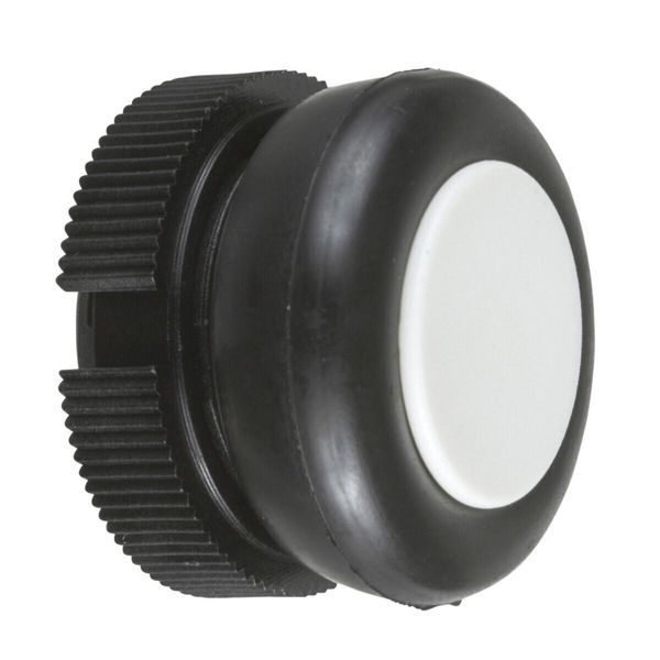 Schneider Electric Pulsante Frontale 1F Ws Ø22,5Mm Rnd IP65-image