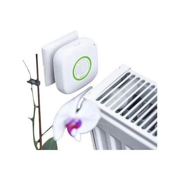 Shelly Gas Cng, Wlan Gassensor (Shelly Gas Cng)-image