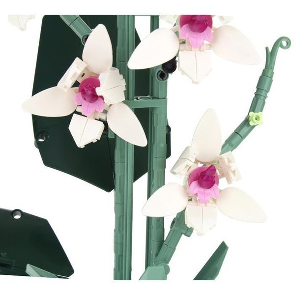 Elementi Costitutivi Orchidea Da Fiore In Un Vaso Da Fiori-image