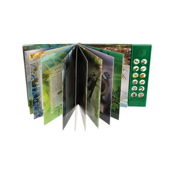Libro Sonoro Uccelli Delle Nostre Foreste-image