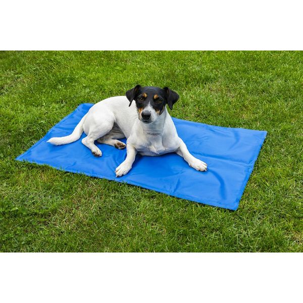 Propet Tappeto Refrigerante Per Cani E Gatti 81 X 96 Cm-image