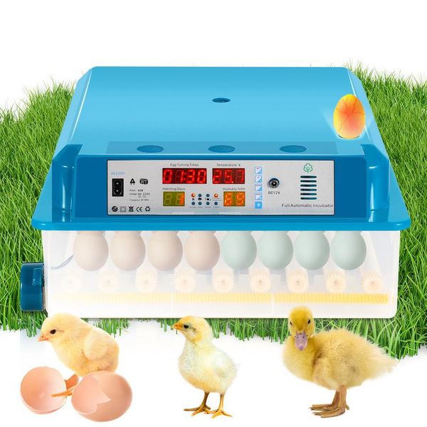Incubatrice Hengda Termometro Per Incubazione Uova Di Gallina Incubatrice Per 64 Uova Di Gallina-image