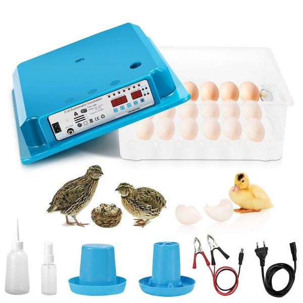Clanmacy Incubatrice Termometro Per Incubatrice Uova Di Gallina Incubatrice Per 36 Uova Di Gallina-image