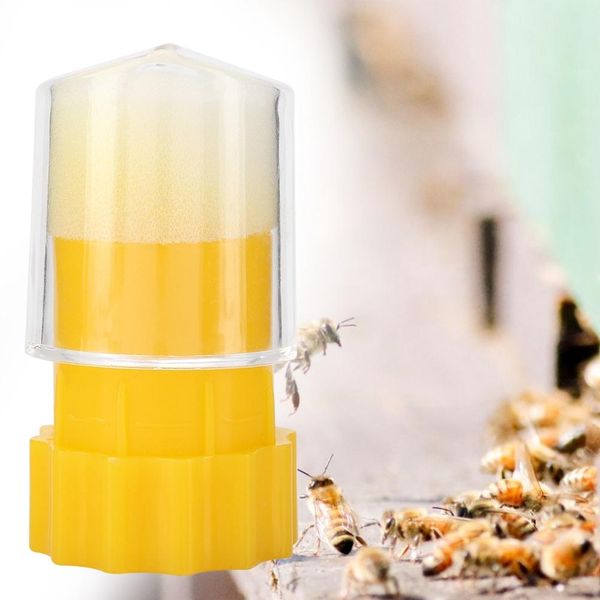 Marcatore Di Api Regine, Bottiglia Per Gabbia Di Marcatura Delle Api Regine, Attrezzatura Per Apicoltura, Strumento Per Apicoltori, Attrezzature Per Apicoltura-image