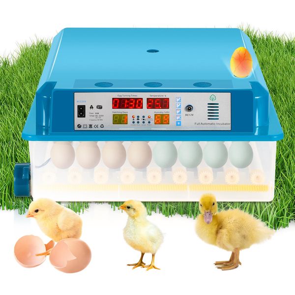 Clanmacy Incubatrice Completamente Automatica, Incubatrice 64 Uova Con Display, Incubatrice Di Uova Con Controllo Della Temperatura Per Galline, Oche, Anatre, Piccioni E Quaglie-image