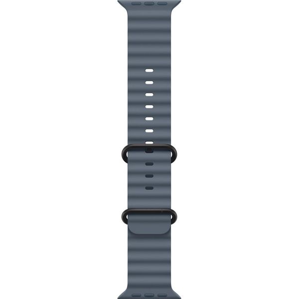 Apple Titanium Finish Band Blu Fluoroelastomero, Titanio-image