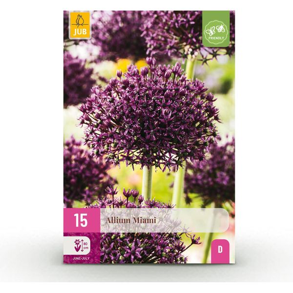 Bulbi Da Fiore Allium Miami - Viola - 15 Pezzi - Bulbo Di Dimensioni 10/11 - Porro Ornamentale Per Giardino E Balcone - Fioritura Da Maggio A Giugno - Perenne Resistente 60-80Cm-image