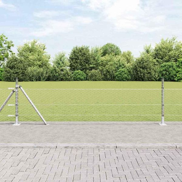 Maison Exclusive - Palo Della Recinzione Argento 100 X 0,5 M (Rete Da 25 Mm)-image