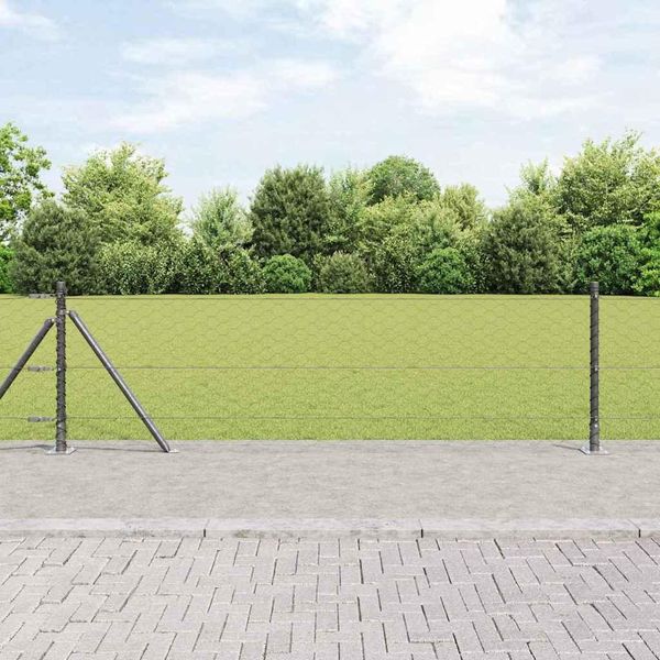 Maison Exclusive - Palo Della Recinzione Grigio 100 X 0,6 M (Rete Da 50 Mm)-image