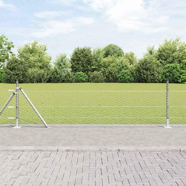 Maison Exclusive - Palo Della Recinzione Argento 50 X 0,5 M (Rete 36 Mm) Acciaio-image