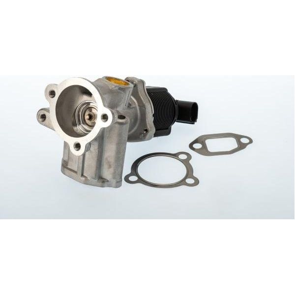 Borgwarner (Wahler) 710773D/1 Agr-Ventil Oe 55195196 Kompatibel Mit Solenza, Corsa D, Astra H, Astra (A04), Ypsilon, Musa, Strada, Qubo, Punto, Linea, Idea, Grande Punto, Fiorino, Doblo, Mito-image