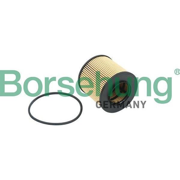 Borsehung B12821 Filtro Olio Oe 03C115562 Compatibile Con A3 8P, Altea, Altea Xl, Cordoba, Ibiza, Leon, Toledo, Fabia, Octavia, Roomster, Eos, Golf Plus, Golf V, Jetta, Passat 3C, Polo 9N, Polo 6R, Tiguan, Touran-image