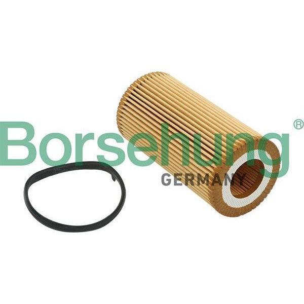Borsehung B12815 Filtro Olio Oe 06D115562 Compatibile Con A1 8X, A3 8P, A4 8E, A4 8H, A6 4F, Q3, Tt, Altea, Altea Xl, Exeo, Leon, Toledo, Octavia, Beetle, Eos, Golf Plus, Golf V, Golf Vi, Jetta, New Beetle, Passat 3C, Polo 6R, Scirocco, Touran-image