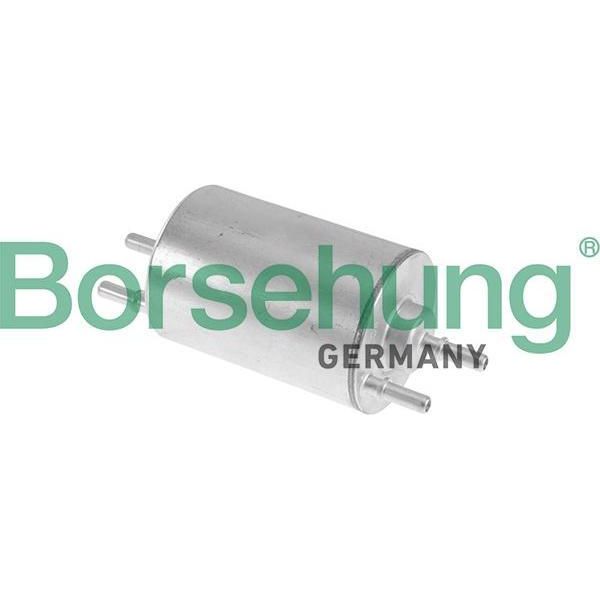 Borsehung B10479 Filtro Carburante Oe 8E0201511G Compatibile Con A4 8E, A4 8H, Exeo-image