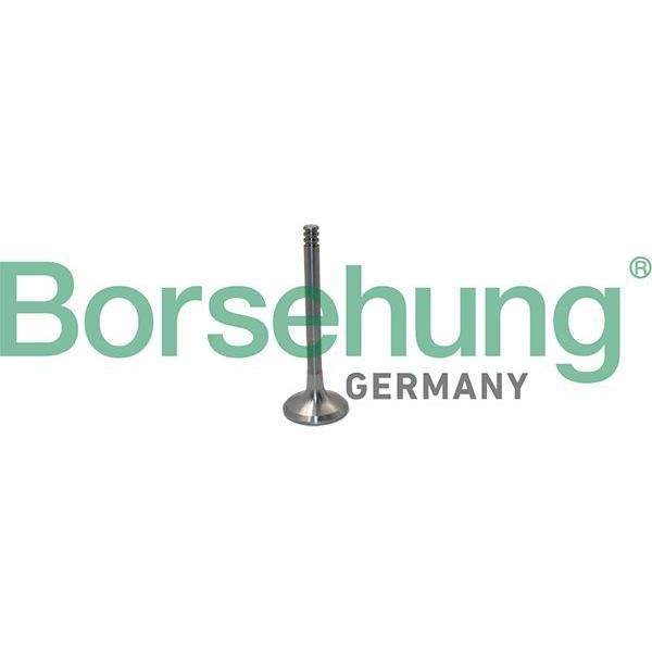 Borsehung B19012 Valvola Di Scarico Oe 038109611F Compatibile Con A2, A3 8L, A4 8D, A4 8E, A6 4B, Alhambra, Arosa, Cordoba, Ibiza, Leon, Toledo, Fabia, Octavia, Superb, Bora, Golf Iv, Lupo, Multivan V, New Beetle, Passat 3B, Phaeton, Polo 6N, Polo 9N, Sharan, Touareg, Transporter V-image