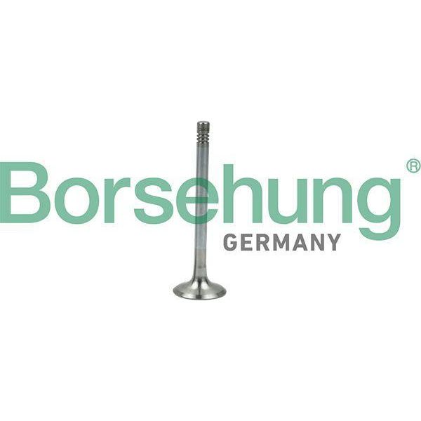 Borsehung B19005 Valvola Di Scarico Oe 03C109611R Compatibile Con A1 8X, A2, A3 8P, Alhambra, Altea, Altea Xl, Arosa, Cordoba, Ibiza, Inca, Leon, Toledo, Fabia, Octavia, Rapid, Roomster, Superb, Yeti, Beetle, Bora, Caddy, Cc, Eos, Golf Iv, Golf Plus, Golf V, Golf Vi, Jetta, Lupo, New Beetle, Passat 3C, Passat 3B, Polo 6N, Polo 9N, Polo 6V, Polo 6R, Scirocco, Sharan, Tiguan, Touran-image