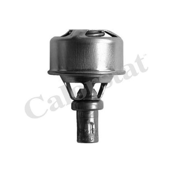 Calorstat By Vernet TH4495.89 Termostato, Refrigerante Oe 7701348068 Compatibile Con Nova, Clio, Espace, Rapid, Twingo-image