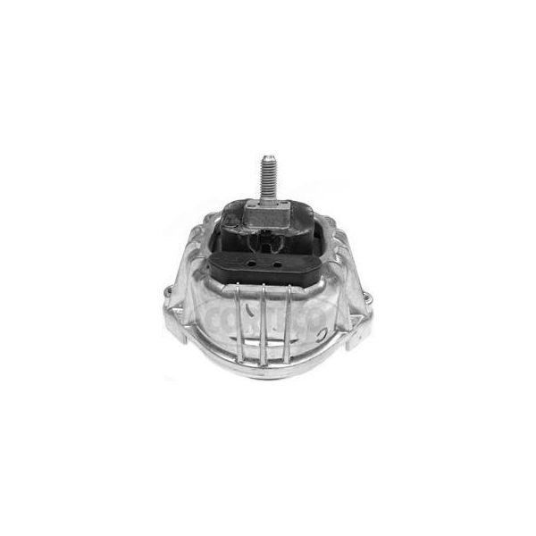 Corteco 80000693 Cuscinetto, Motore Oe 22116760330 Compatibile Con Serie 1 E81, Serie 1 E88, Serie 1 E82, Serie 3 E90, Serie 3 E93, Serie 3 E92, Serie 3 E91, Z4 E89-image