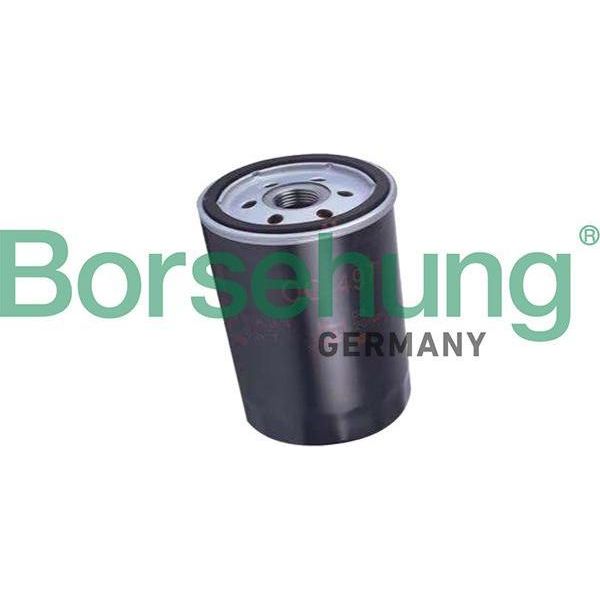 Borsehung B19032 Filtro Olio Oe 06A115561B Compatibile Con A3 8L, A3 8P, A4 8D, A4 8E, A4 8H, A6 4A, A6 4B, Tt, Alhambra, Altea, Altea Xl, Cordoba, Exeo, Ibiza, Inca, Leon, Toledo, Fabia, Octavia, Superb, Bora, Caddy, Corrado, Golf Iii, Golf Iv, Golf Plus, Golf V, Golf Vi, Jetta, Multivan V, New Beetle, Passat 35I, Passat 3B, Passat 3C, Polo 9N, Polo 6V, Sharan, Touran, Transporter V, Vento-image