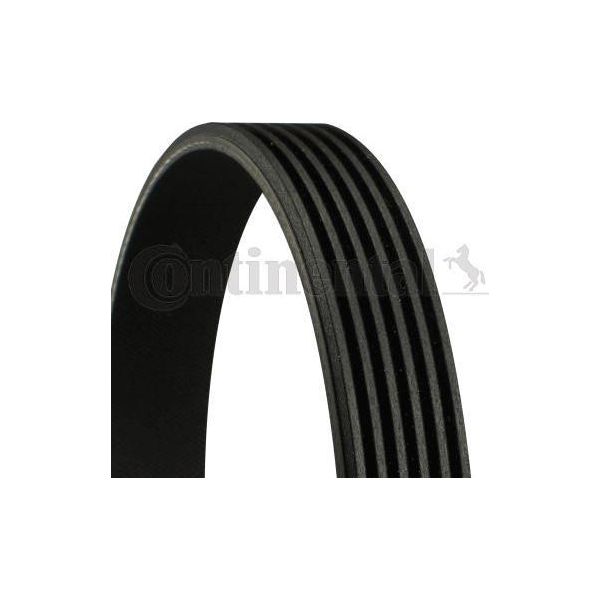 Continental Ctam 6PK2460 Cinghia Trapezoidale Dentata Oe 059903137AS Compatibile Con A4 8W, A4 8E, A4 8H, A4 8K, A5 8T, A5 F5, A6 4F, A6 4G, A7 4G, A8 4E, A8 4N, Q5, Q7, Voyager, F-Type, Xf, Xj, Xk, Wrangler, Classe E, Classe S, Sl, Sls, Touareg-image