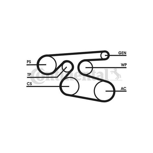 Continental Ctam 7PK2000 Cinghia Trapezoidale Dentata Oe A0029934696 Compatibile Con Classe E, Primastar, Vivaro, Trafic, Avensis, Corolla-image