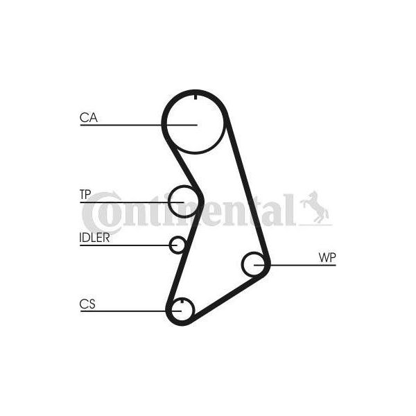 Continental Ctam CT909WP2 Pompa Dell'acqua + Kit Cinghia Dentata Oe Compatibile Con A4 8D, A4 8E, A4 8H, A6 4B, Exeo, Superb, Passat 3B-image