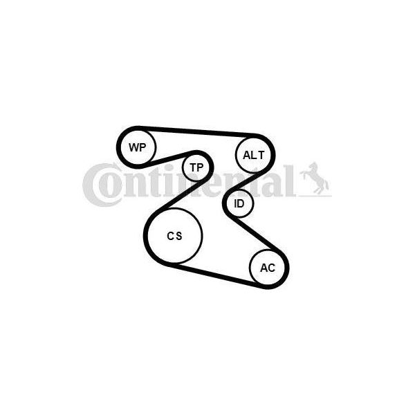 Continental Ctam 6PK1873K1 Set Di Cinghie Trapezoidali Dentate Oe Compatibile Con Polo 6R, Polo 9N, Fox, Roomster, Rapid, Fabia, Toledo, Ibiza, Cordoba-image