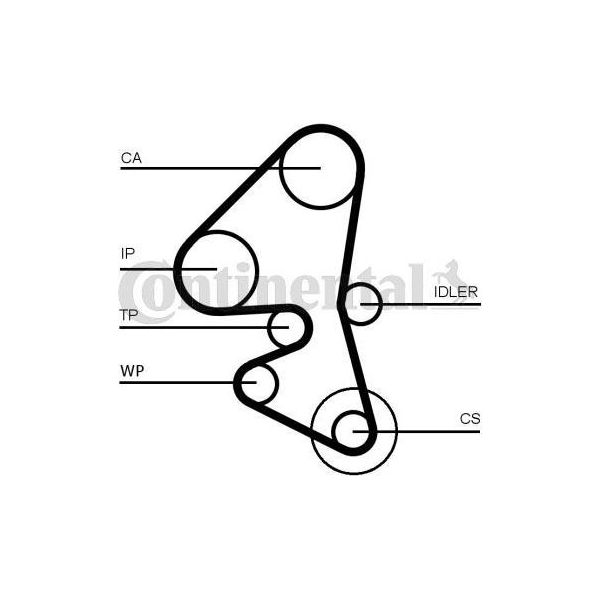 Continental Ctam CT1162K5 Kit Cinghia Dentata Oe 1635067180 Compatibile Con 208, 3008, 301, 308, 4008, 5008, 508, Expert, Partner, 207, 2008, 5, 3, 2, Transit, Tourneo, S-Max, Mondeo, C-Max, Galaxy, Focus, Fiesta, Ecosport, B-Max, Scudo, Spacetourer, Jumpy, C4, DS5, DS4, DS3, C5, C3, C-Elysee, Berlingo, Rifter, C30, S40, S60, S80, V40, V50, V60, V70-image