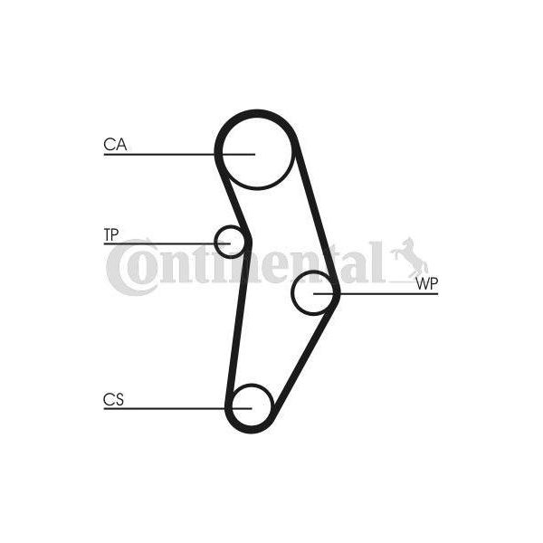 Continental Ctam CT1049WP1 Wasserpumpe + Zahnriemensatz Oe 71771575 Kompatibel Mit 124 Spider, 500, 500C, Grande Punto, Punto, Giulietta, Mito, 500L, 500X, Brava, Bravo, Doblo, Idea, Linea, Marea, Palio, Panda, Stilo, Tipo, Renegade, Combo, Ypsilon, Maz Y, Lanc Y, Musa, Delta-image