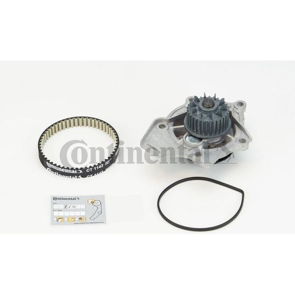 Continental Ctam CT1143WP1 Pompa Dell'acqua + Set Cinghia Dentata Oe Compatibile Con A3 8P, A4 8K, A5 8T, A5 8F, A6 4G, A8 4H, Q3, Q5, Tt, Alhambra, Altea, Altea Xl, Exeo, Leon, Toledo, Octavia, Superb, Yeti, Amarok, Beetle, Cc, Eos, Golf V, Golf Vi, Jetta, Multivan V, Passat Alltrack, Passat 3C, Passat 3B, Passat Cc, Scirocco, Sharan, Tiguan, Transporter V-image