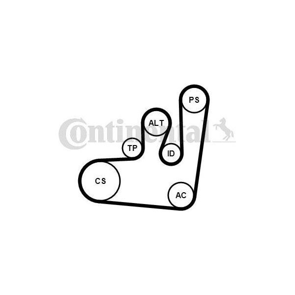 Continental Ctam 6PK1145K1 Set Di Cinghie Trapezoidali Dentate Oe Compatibile Con Vento, Sharan, Polo 6V, Passat 3B, Passat 35I, Golf Iv, Golf Iii, Caddy, Toledo, Inca, Ibiza, Cordoba, Alhambra, Galaxy-image